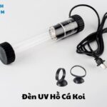 Đèn UV Hồ Cá Koi