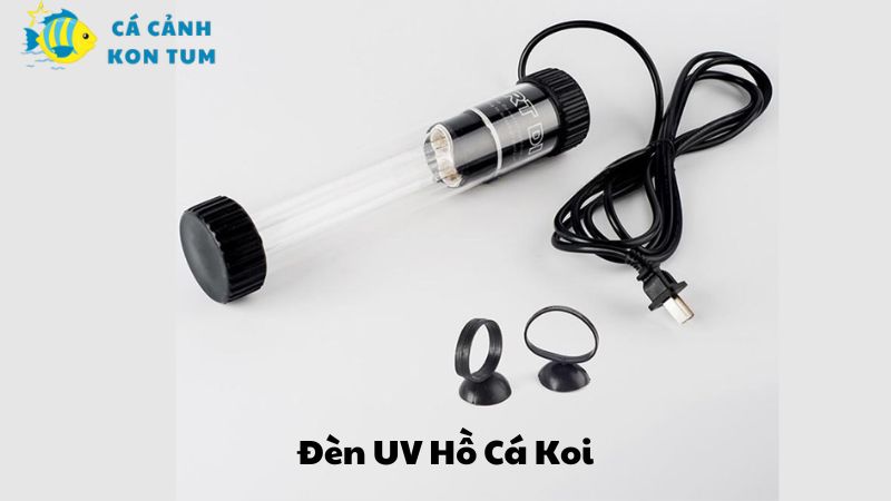 Gợi ý các mẫu đèn uv hồ cá koi phù hợp