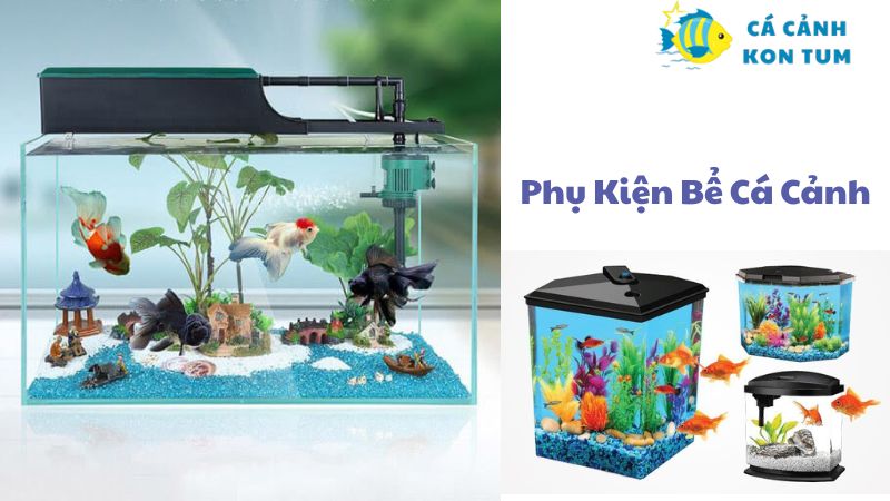 Phụ Kiện Bể Cá Cảnh 