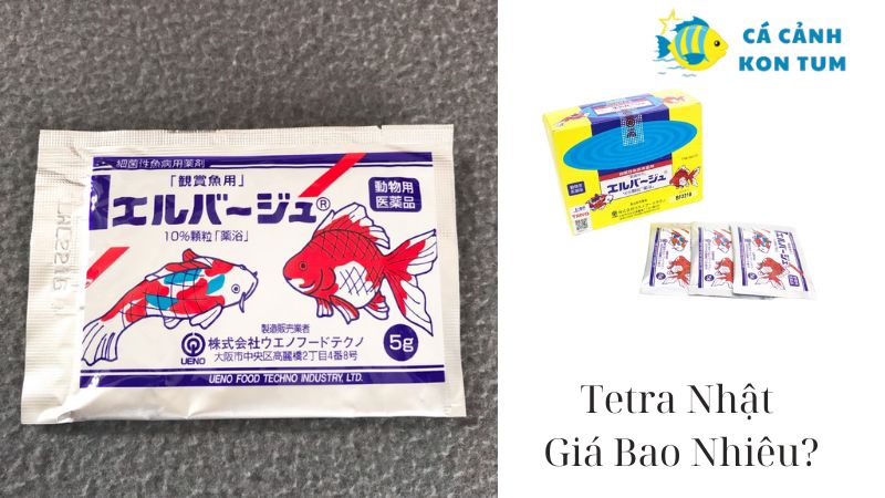 Tetra Nhat Gia Bao Nhieu