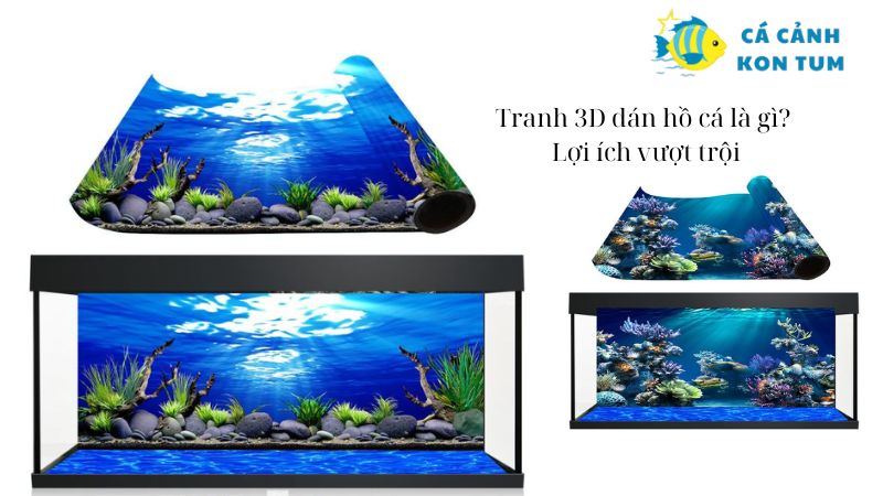 Tranh 3D dán hồ cá là gì? Lợi ích vượt trội