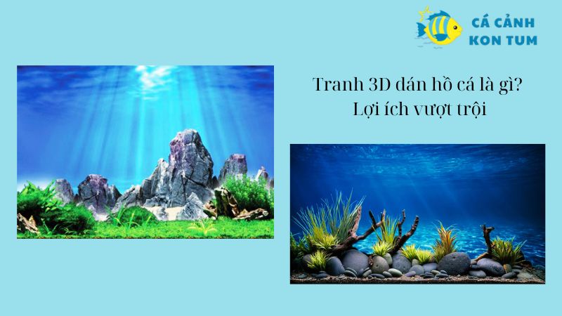 Tranh 3D dán hồ cá