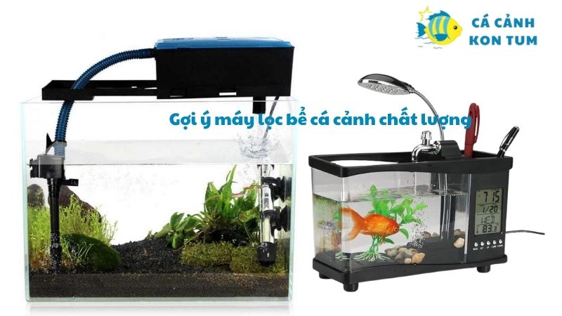 máy lọc bể cá cảnh